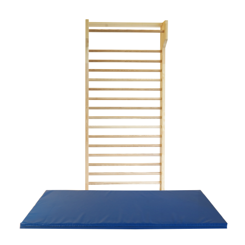 Sprossenwand mit 14 Sprossen B/H/T: 100x210 cm, 1. Sprosse vorgelagert, Sprossen aus Esche Holz, Sprossenquerschnitt oval (33 × 43 mm)