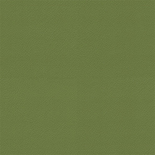 Olive ITA09