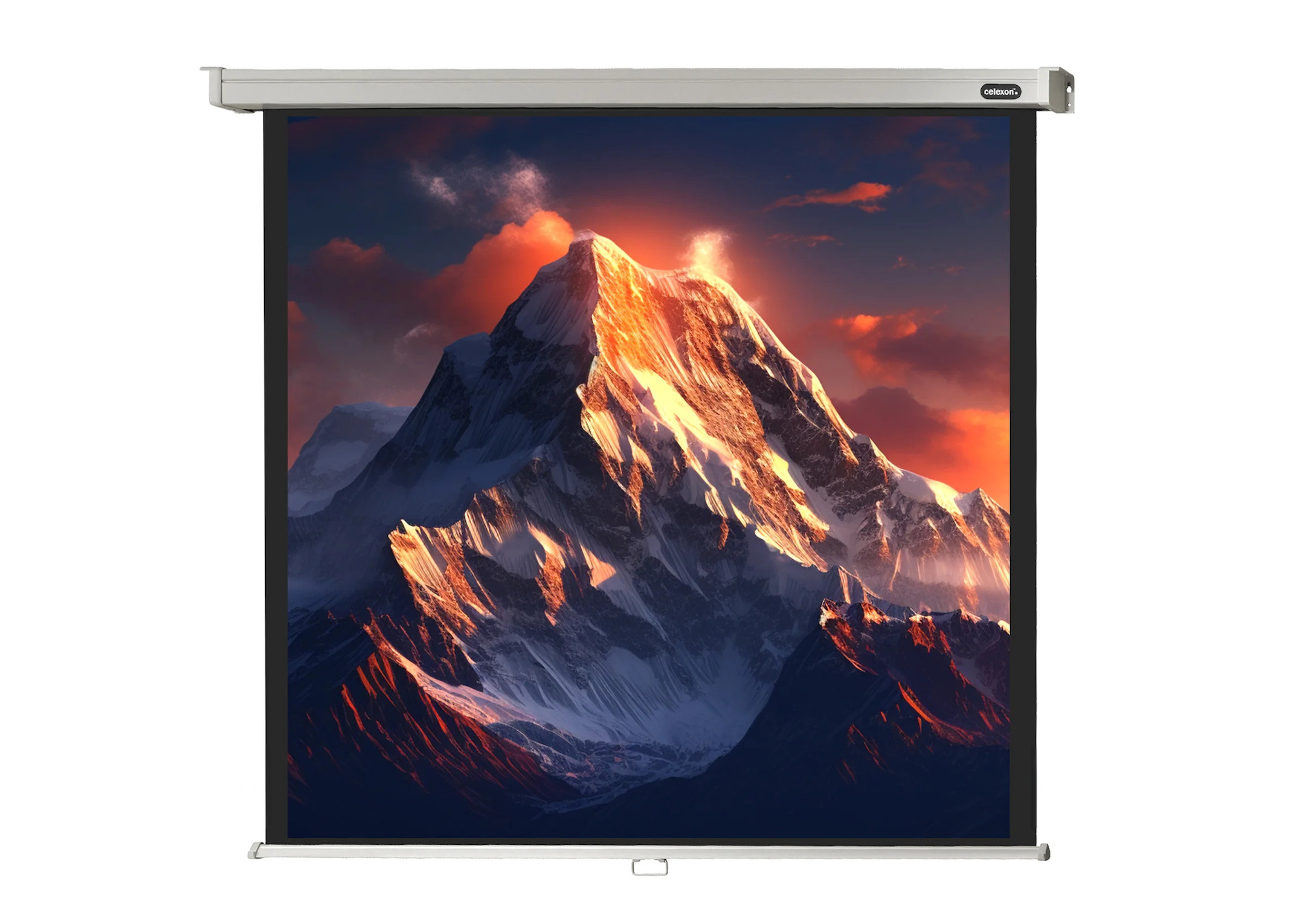 celexon Leinwand Rollo Professional 300 x 300 cm