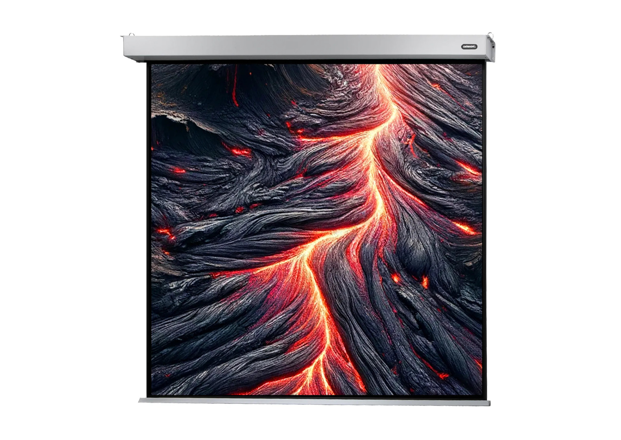 celexon Leinwand Motor Professional Plus 300 x 300 cm