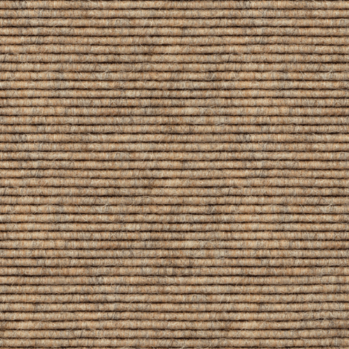 T555 Gobi
