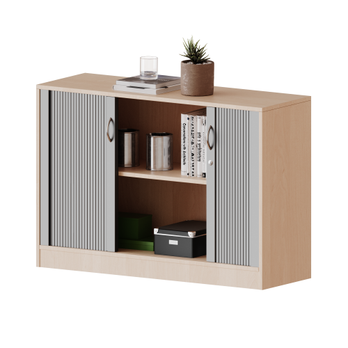 Schrank mit Rollo, 2 Ordnerhöhen - Serie evo180 B/H/T: 100x82x50 cm, Querrolladen, abschließbar, mit Sockel (81 mm)