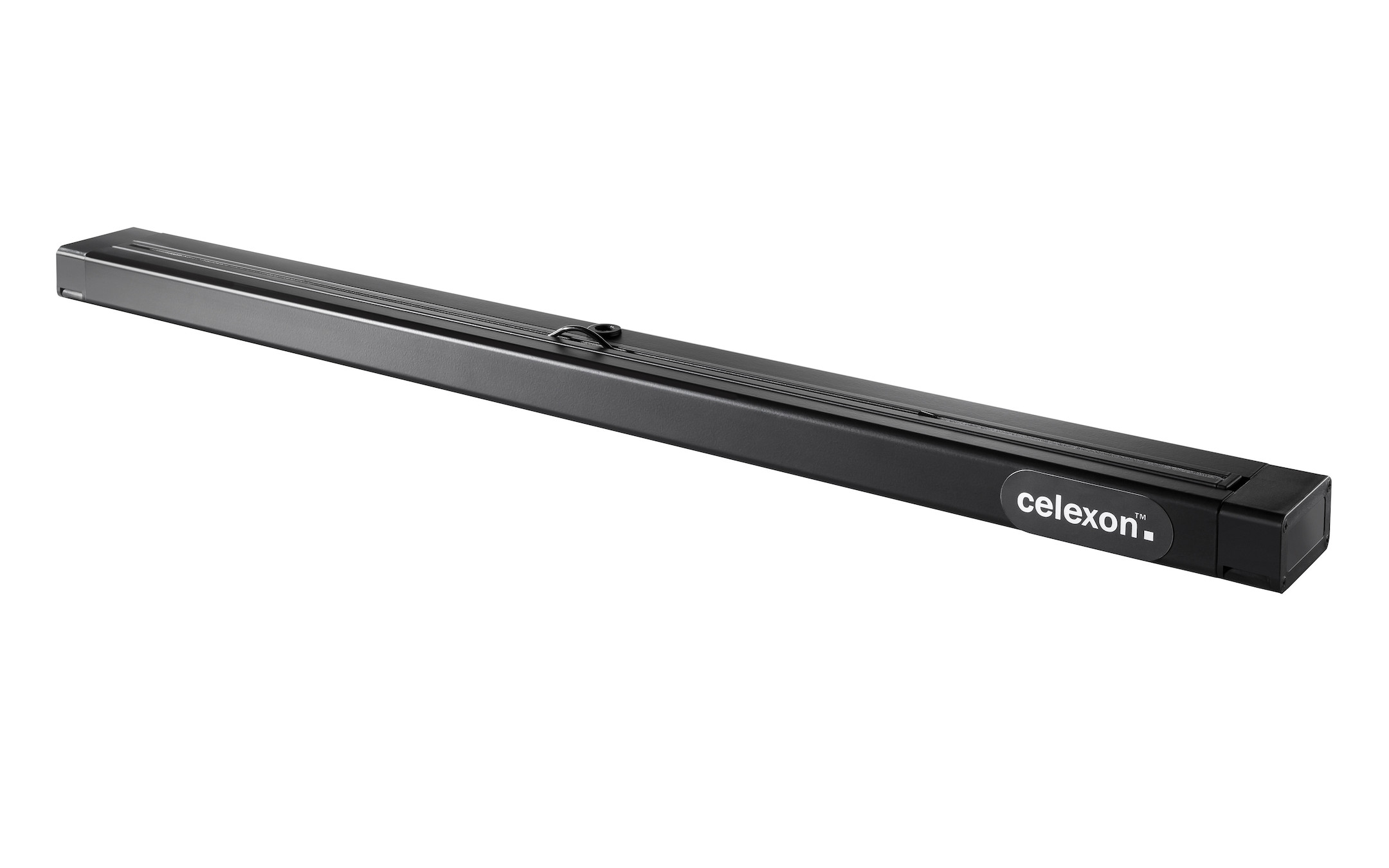 celexon Tischleinwand Professional Mini Screen 61 x 46cm
