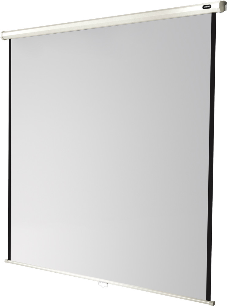 celexon Leinwand Rollo Economy 120 x 120 cm