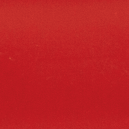 Rot