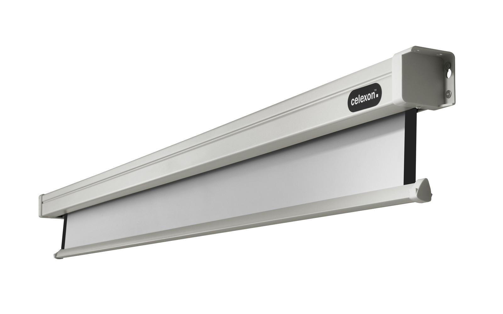 celexon Leinwand Motor Professional 300 x 300 cm