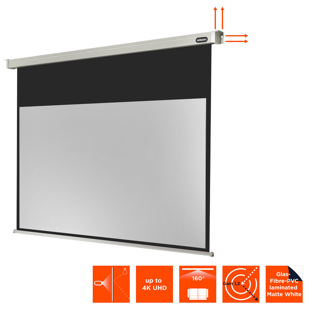 celexon Leinwand Motor Professional 220 x 124 cm