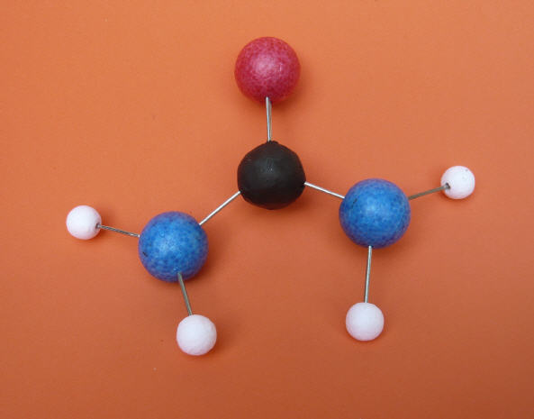 MOLETOMICS™ SELBSTZUSAMMENSTELLEN