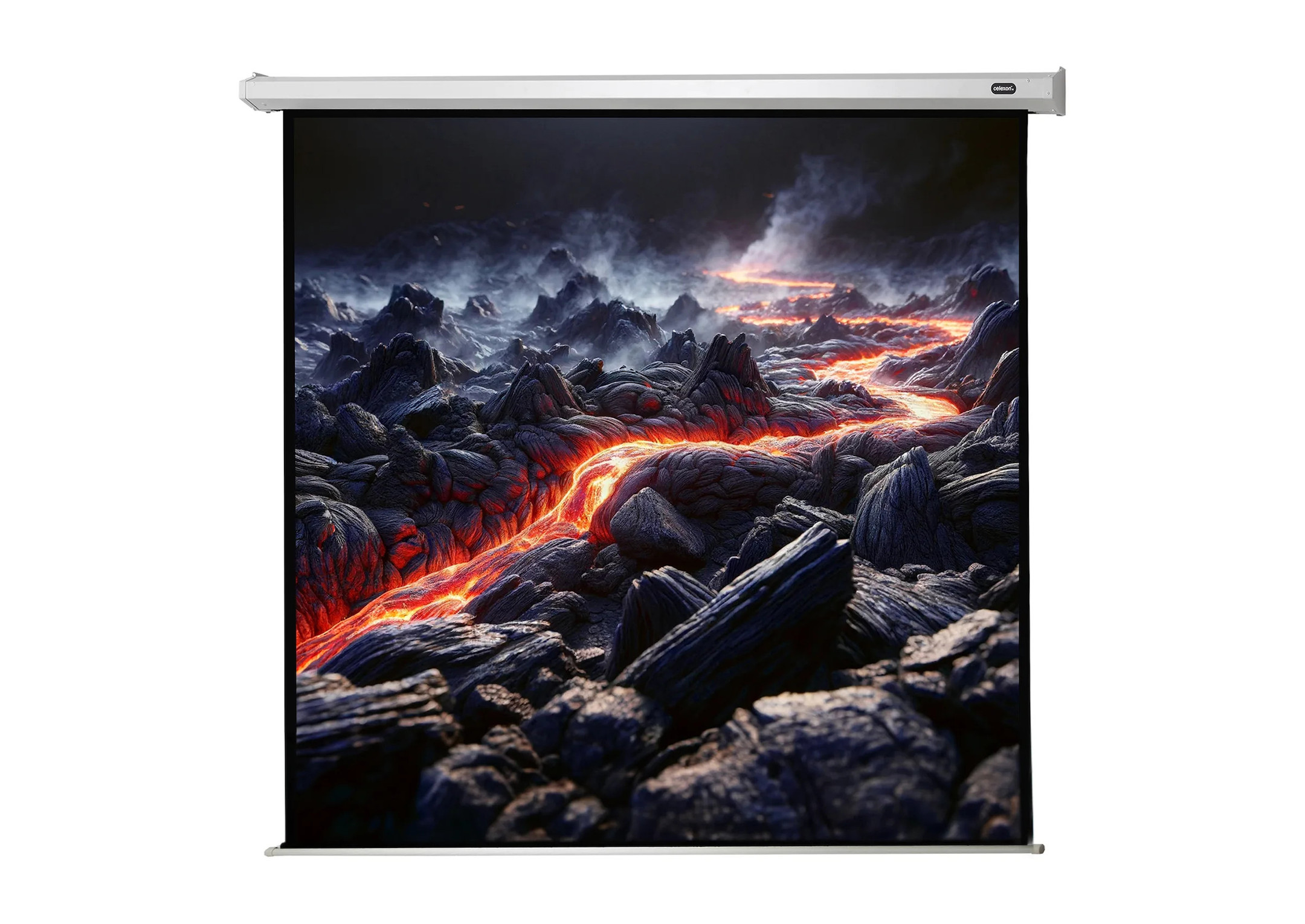 celexon Leinwand Motor Economy 300 x 300 cm