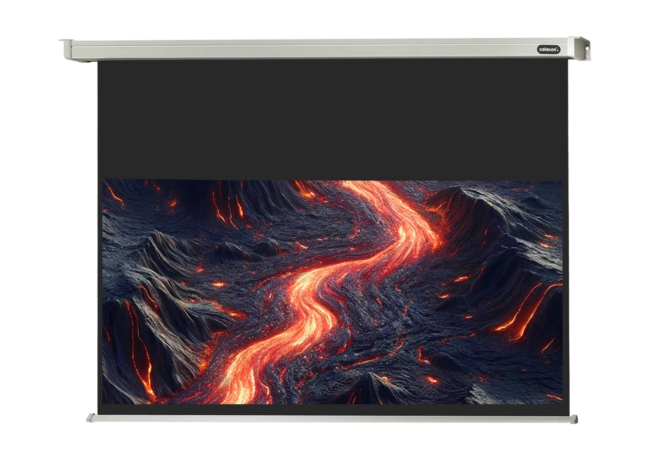 celexon Leinwand Motor Professional 220 x 124 cm
