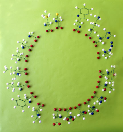 MOLETOMICS™ SELBSTZUSAMMENSTELLEN