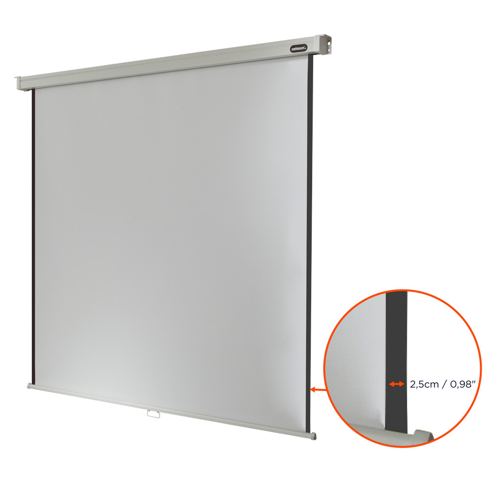 celexon Leinwand Rollo Professional 120 x 120 cm